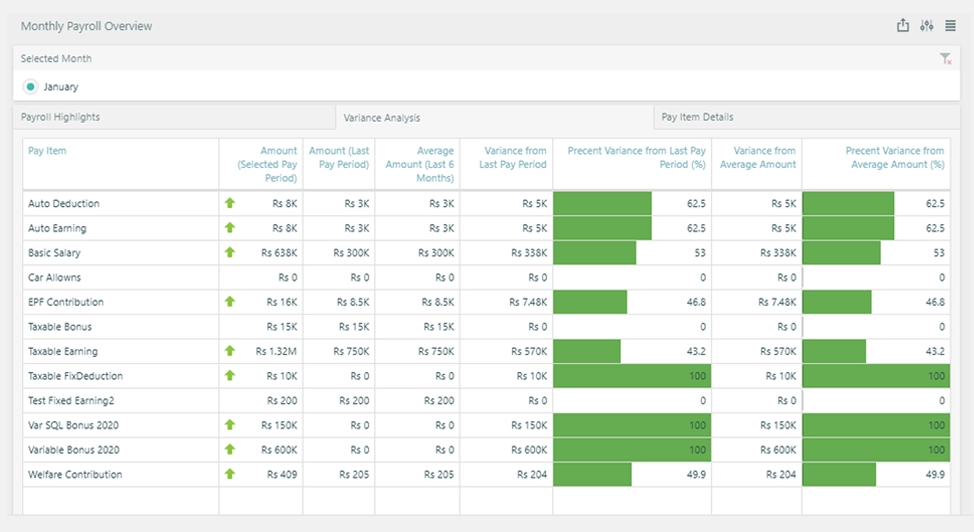 Payroll dashboard preview
