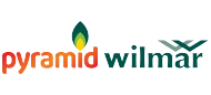 Pyramid Wilmar logo
